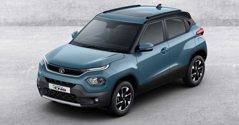 Tata Punch is India's bestselling car from January-July 2024